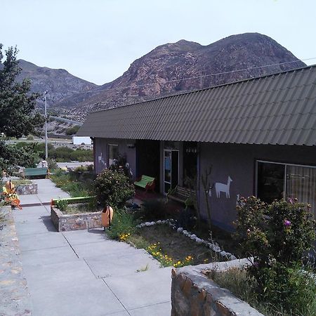 Hotel Las Vicunas Putre Esterno foto