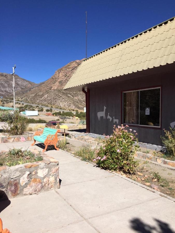 Hotel Las Vicunas Putre Esterno foto
