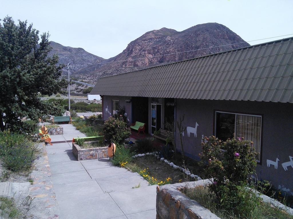 Hotel Las Vicunas Putre Esterno foto